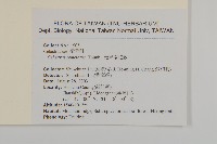 光果南蛇藤藏品圖，第2張