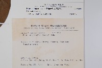 臺灣藤漆藏品圖，第2張