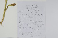 青葙藏品圖，第2張