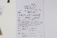 蔥木藏品圖，第2張