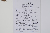 長葉獼猴桃藏品圖，第2張