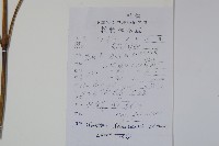 冇骨消藏品圖，第2張
