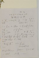 小艾藏品圖，第2張