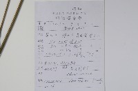 南天竹、天竹、蘭天竹藏品圖，第2張