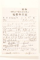 糙葉斑鳩菊藏品圖，第2張
