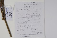 南天竹、天竹、蘭天竹藏品圖，第2張
