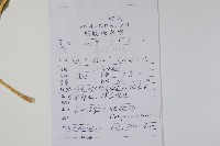 杏葉沙參藏品圖，第2張