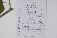 八角楓藏品圖，第2張