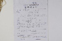 反枝莧藏品圖，第2張