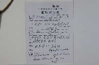水紅木藏品圖，第2張