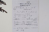 十大功勞藏品圖，第2張