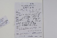 湖南沙參、寬裂沙參藏品圖，第2張