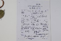 槓柳藏品圖，第2張