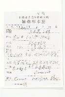 貴州四照花藏品圖，第2張