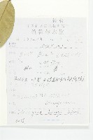 宜昌胡頹子藏品圖，第2張