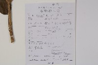 常春藤藏品圖，第2張