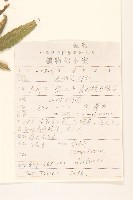 佩蘭藏品圖，第2張