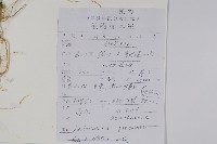 爵床、六角英藏品圖，第2張