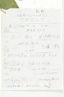 絞股藍藏品圖，第2張