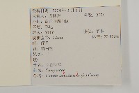 加拿大蓬藏品圖，第2張