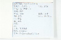 葶藶藏品圖，第2張