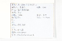 碎米薺藏品圖，第2張