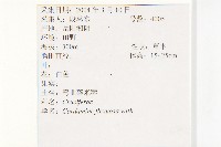 焊菜藏品圖，第2張