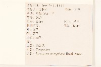 蒲公英藏品圖，第2張