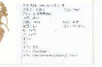 薺藏品圖，第2張