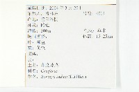 葶藶藏品圖，第2張