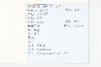 黃鵪菜藏品圖，第2張