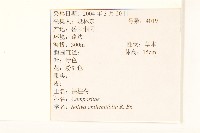 假吐金菊藏品圖，第2張