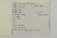 加拿大蓬藏品圖，第2張
