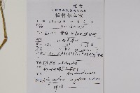柳葉牛膝藏品圖，第2張