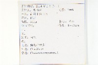 水花菜藏品圖，第2張