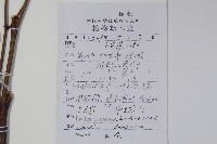 南天竹、天竹、蘭天竹藏品圖，第2張