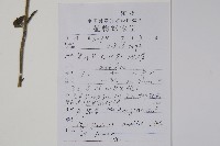 中國勿忘草藏品圖，第2張