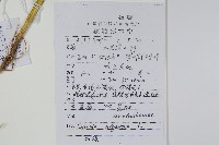 青葙藏品圖，第2張