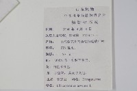 麥家公藏品圖，第2張