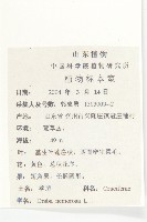 葶藶藏品圖，第2張