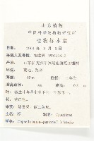 薺藏品圖，第2張