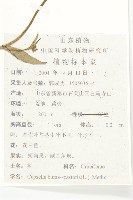 薺藏品圖，第2張