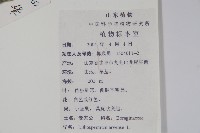 麥家公藏品圖，第2張