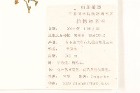 兔仔菜藏品圖，第2張