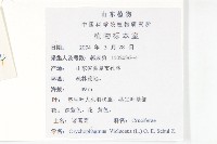 諸葛菜藏品圖，第2張