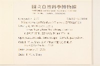 小舌菊、蔓綿菜藏品圖，第2張
