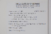 蘿芙木藏品圖，第2張