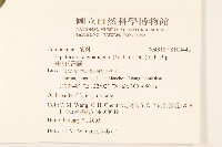 田代氏澤蘭藏品圖，第2張