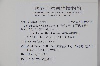 倒卵葉冬青、金平氏冬青藏品圖，第2張