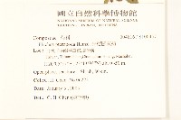 光梗闊苞菊藏品圖，第2張